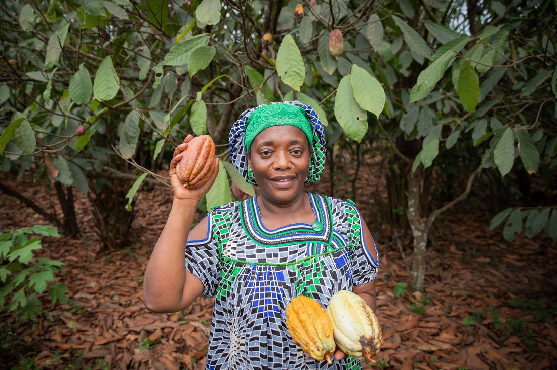 A cocoa farmer in the host community around the Dompim Pepesa concession