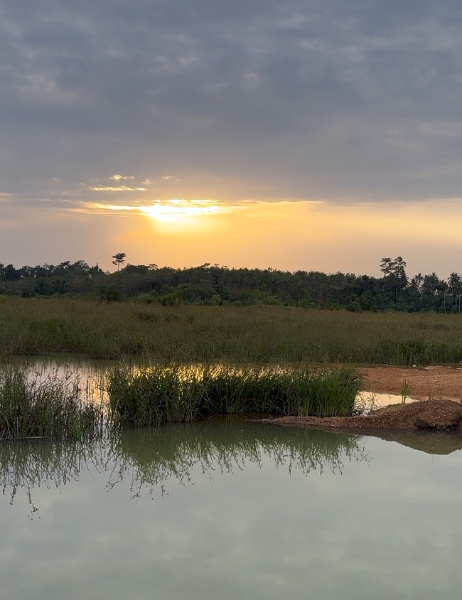 A water body and established vegetation on the concession at sunset
